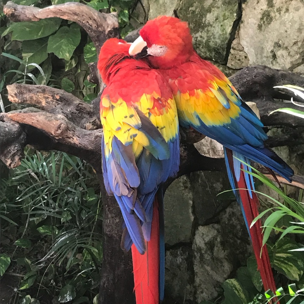 Meet your Posher, Anissa